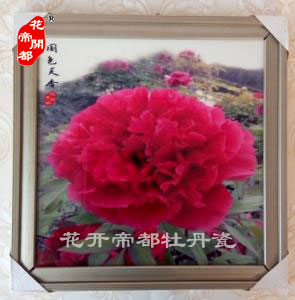牡丹瓷壁画12