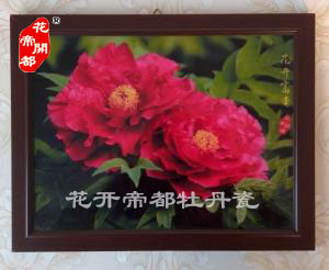 牡丹瓷壁画4