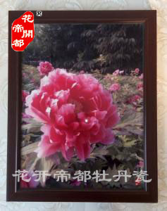 牡丹瓷壁画5